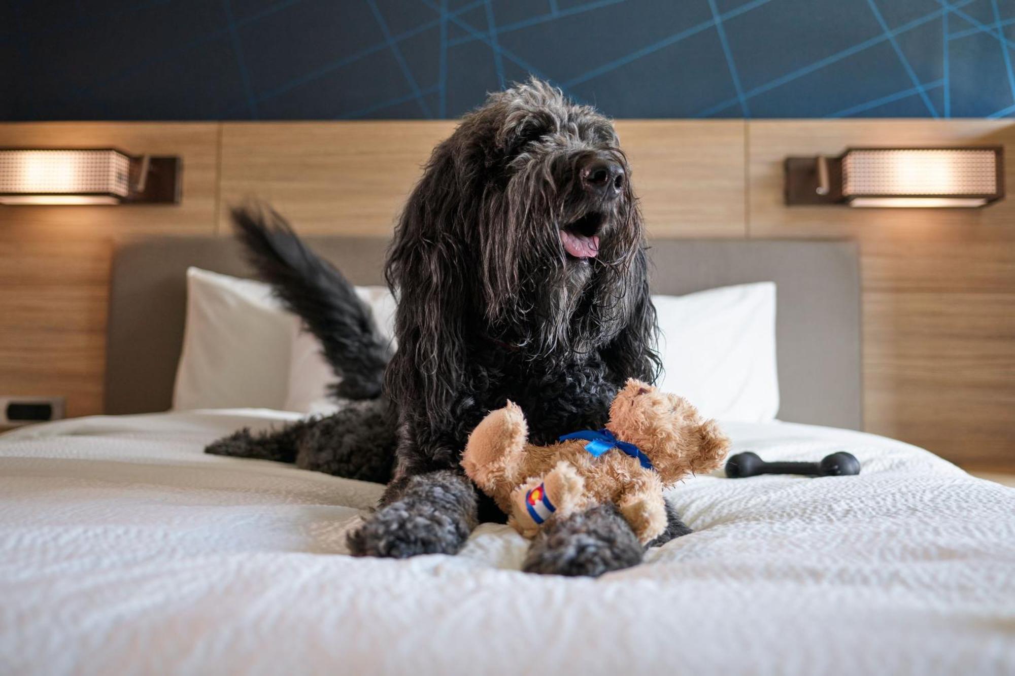 Springhill Suites By Marriott Avon Vail Valley Εξωτερικό φωτογραφία